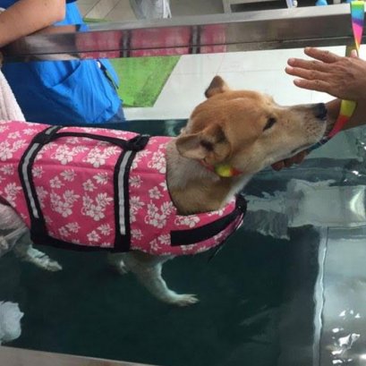 “เหมือนได้ชีวิตใหม่ อัมพฤกษ์เป็นได้ก็หายได้”